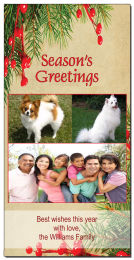 Season's Greetings Mistletoe Holiday Cards 4